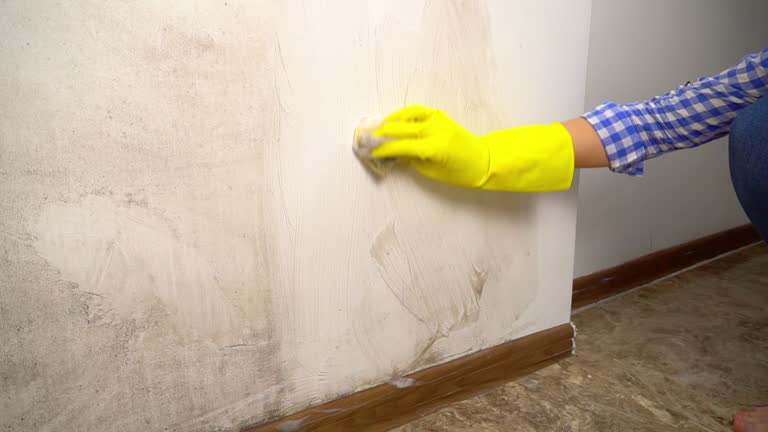 Asbestos and Lead Testing During Mold Inspection in Stockbridge, GA